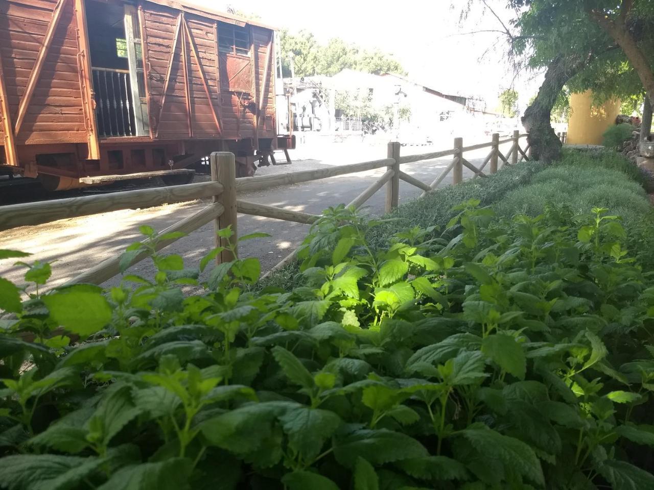 Hostal Nicol'S Hotel Luque Bagian luar foto